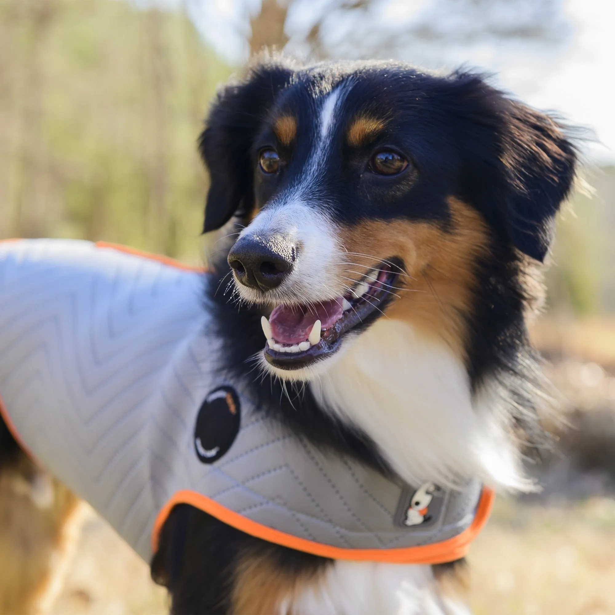 Thunderworks ThunderShirt for Dogs: Platinum Sport (Large)