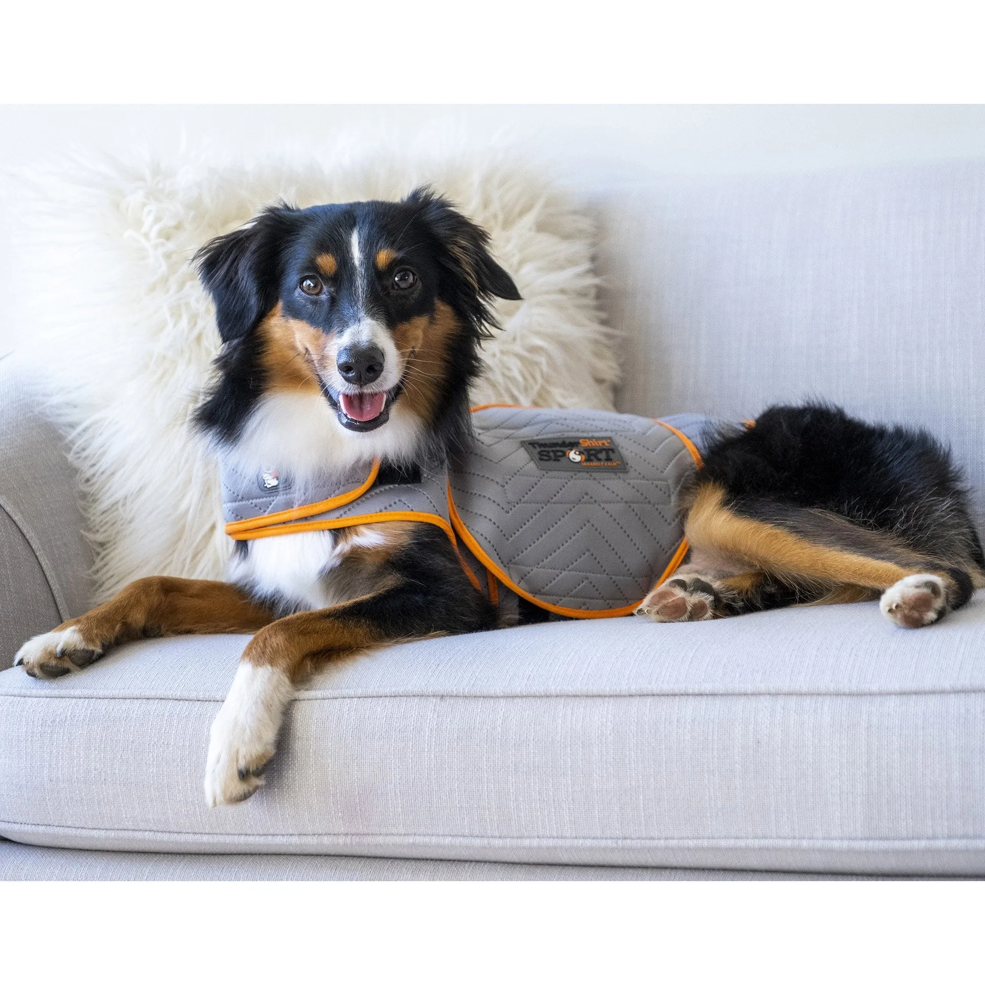 Thunderworks ThunderShirt for Dogs: Platinum Sport (Large)